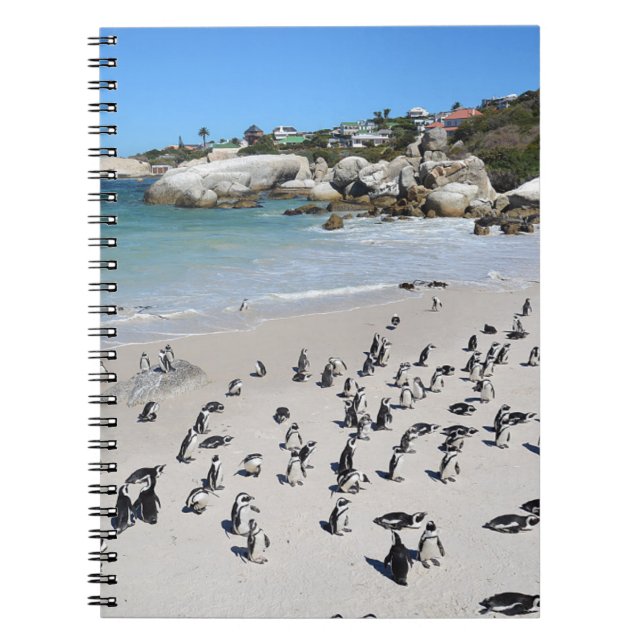 Carnet Plage de Penguins Boulders | Afrique du Sud (Devant)