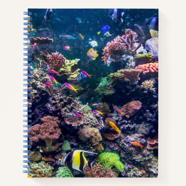 Carnet Plages tropicales | Corail sous-marin Reef (Devant)