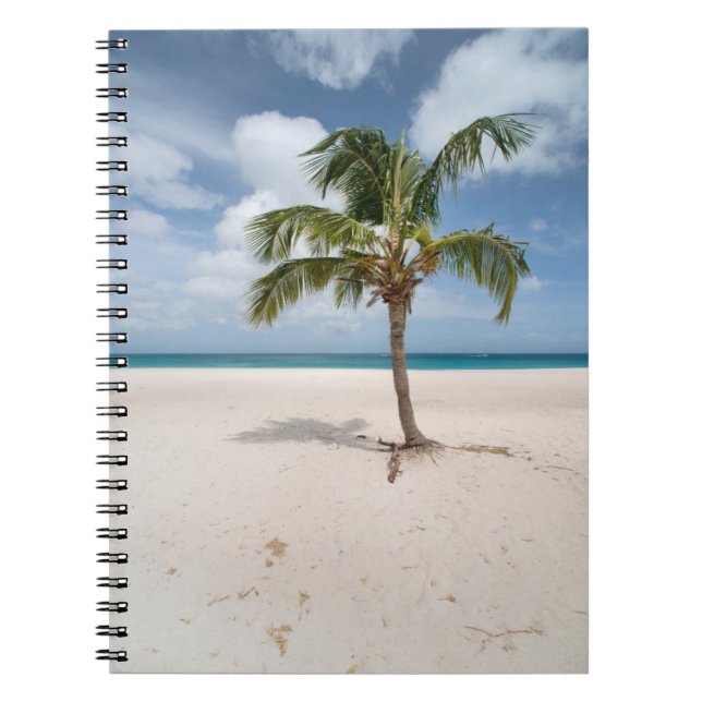 Carnet Plages tropicales | Eagle Beach, Aruba (Devant)
