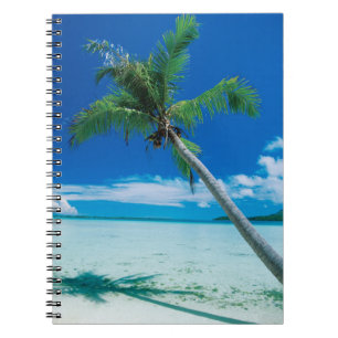 Carnet Plages tropicales Plage du motu Tofari, Bora Bor