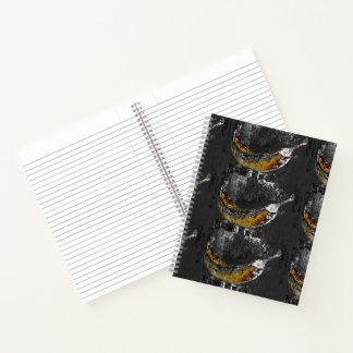 Carnet plaine plane