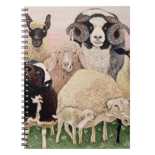 Carnet Plaisir de bergers (Devant)
