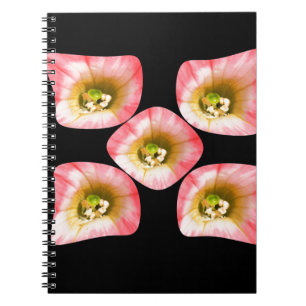Carnet Plaisir Floral