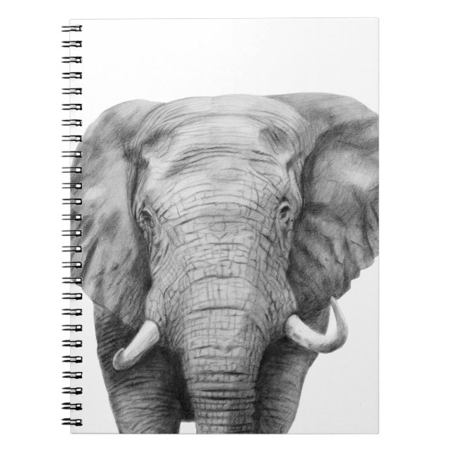 Carnet Plan de sauvegarde IV (Devant)