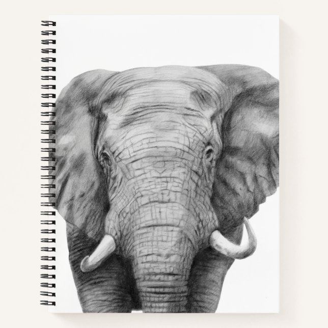 Carnet Plan de sauvegarde IV (Devant)