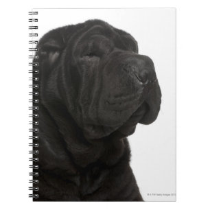 Carnet Plan rapproché (de 1 an) de Shar Pei