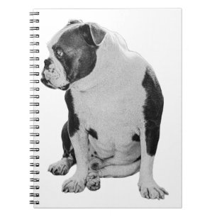 Carnet Plans avec un ami assis