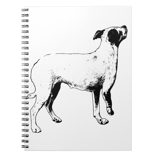 Carnet Plans, mais plus lumineux (Devant)