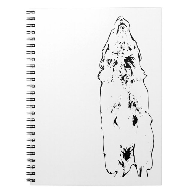 Carnet Plans under a golden sky (Devant)