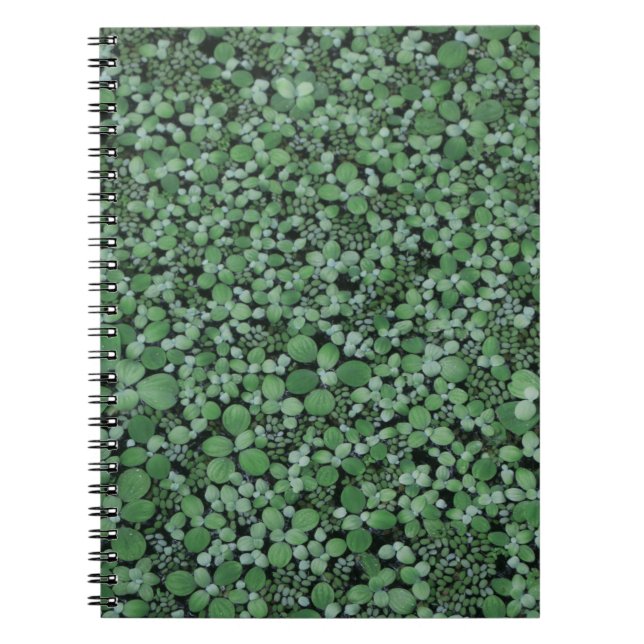 Carnet Plante à feuilles vertes (Devant)