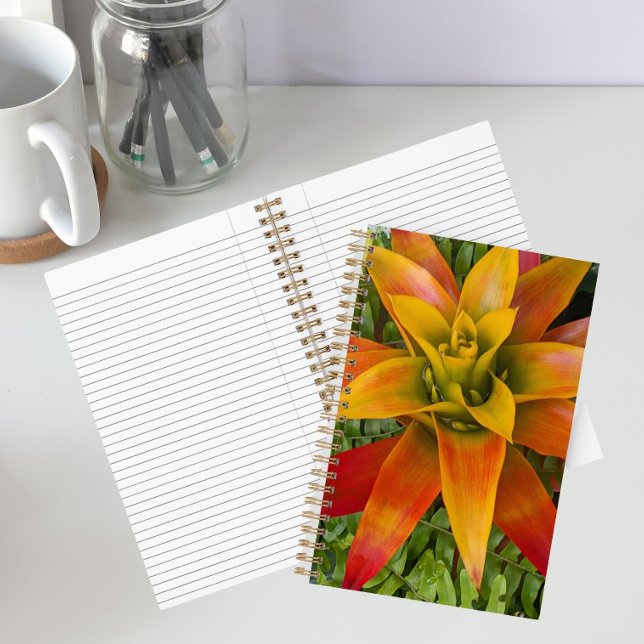 Carnet plante de bromélie Guzmania florale (In Situ)