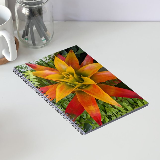 Carnet plante de bromélie Guzmania florale (In Situ)