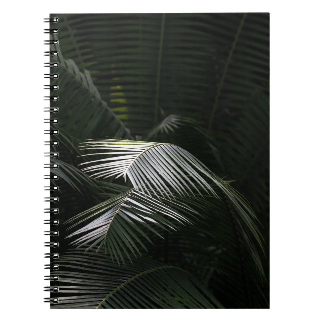 CARNET PLANTE FEUILLES VERTES (Devant)