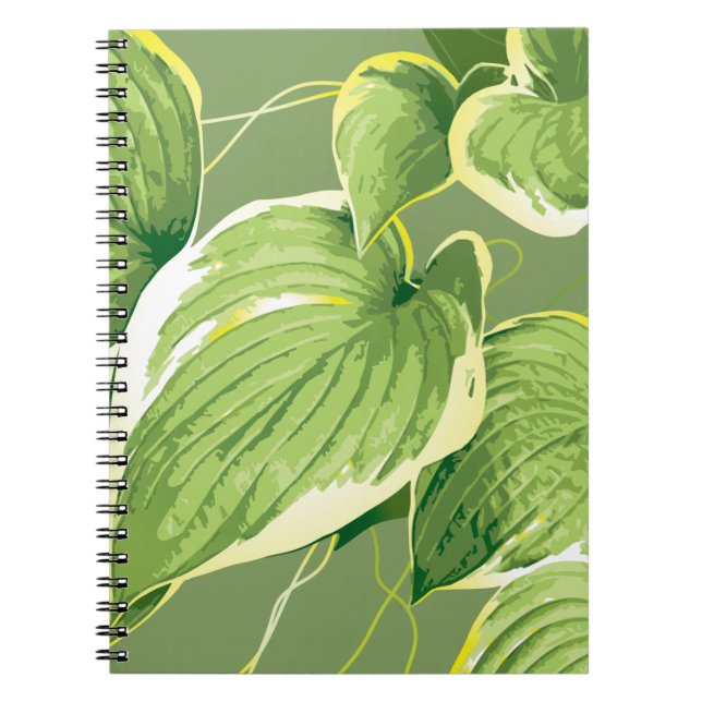 Carnet Plante Ficus 5 (Devant)