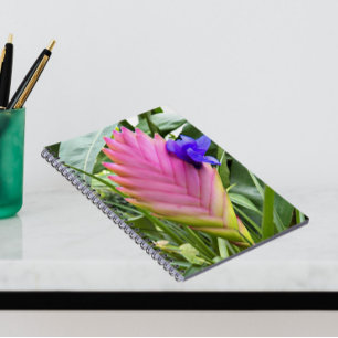 Carnet Plante floral rose Tropical Quill