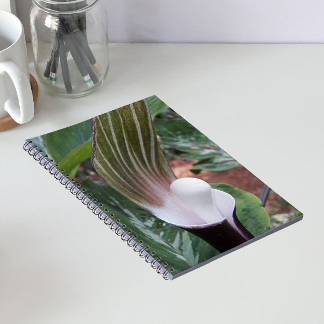 Carnet Plante Jack-in-the-Pulpit Floral (In Situ)