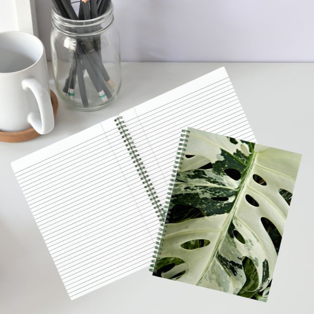 Carnet Plante Monstera panachée Floral (In Situ)