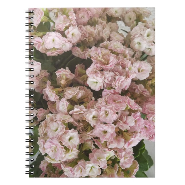 Carnet Plante rose Kalanchoe (Devant)