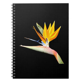 Carnet Plante spirale Oiseau du Paradis