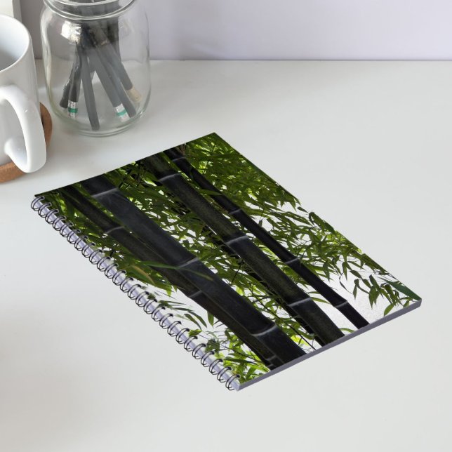 Carnet Plantes de bambou noir floral (In Situ)