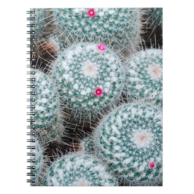 Carnet Plantes de cactus aux minuscules fleurs roses (Devant)