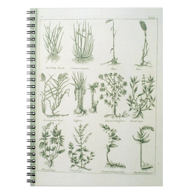 Carnet Plantes du médecin anglais et élém. de Culpeper (Devant)