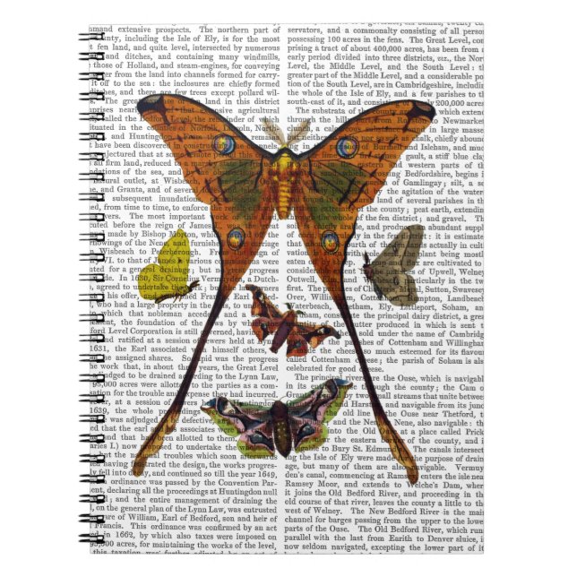 Carnet Plaque 2 (Devant)