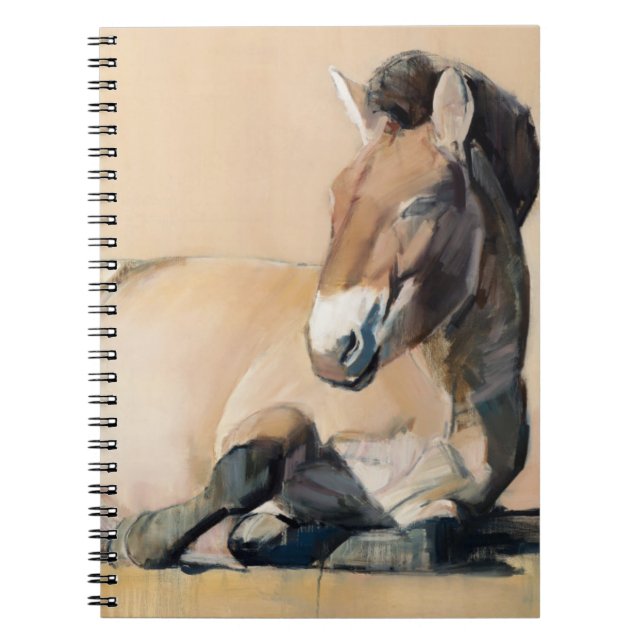 Carnet Plateau Sun (Devant)