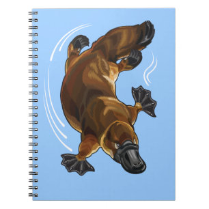 Carnet platype
