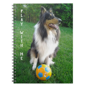 Carnet Play with me. Fans de football.