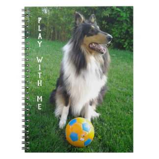 Carnet Play with me. Fans de football.