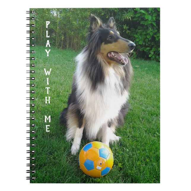 Carnet Play with me. Fans de football. (Devant)