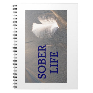 Carnet Plume de la vie obscure