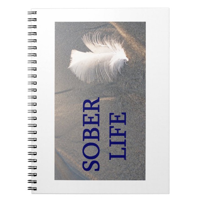 Carnet Plume de la vie obscure (Devant)