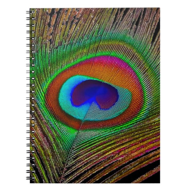 Carnet Plume de paon cuivré vibrant (Devant)