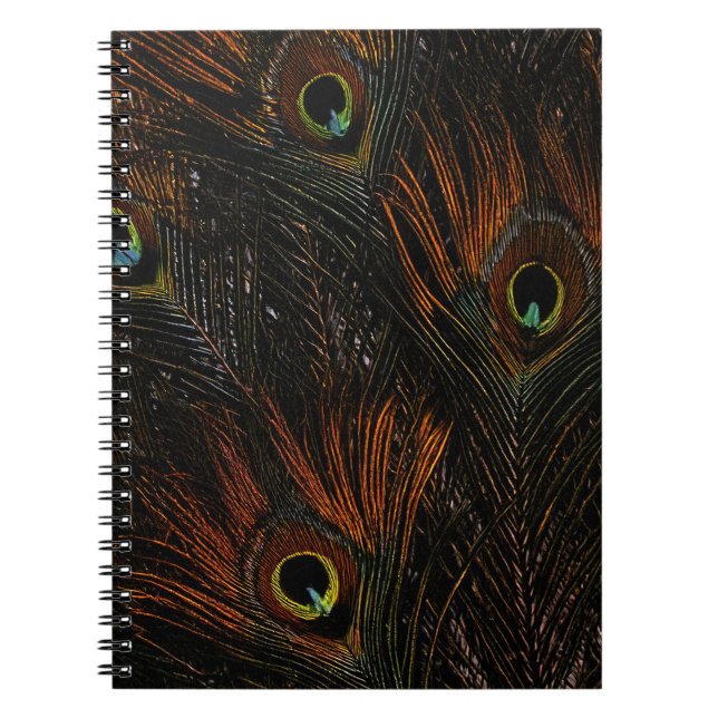Carnet Plumes de paon Tangerine foncé (Devant)