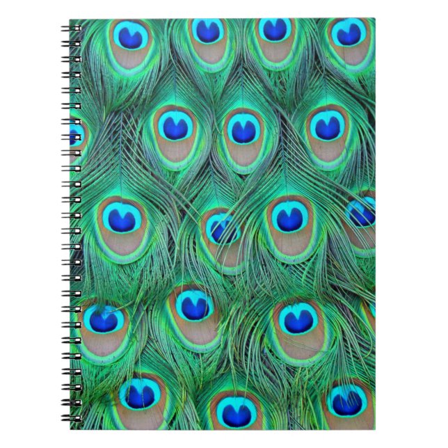 Carnet Plumes de paon vibrantes (Devant)