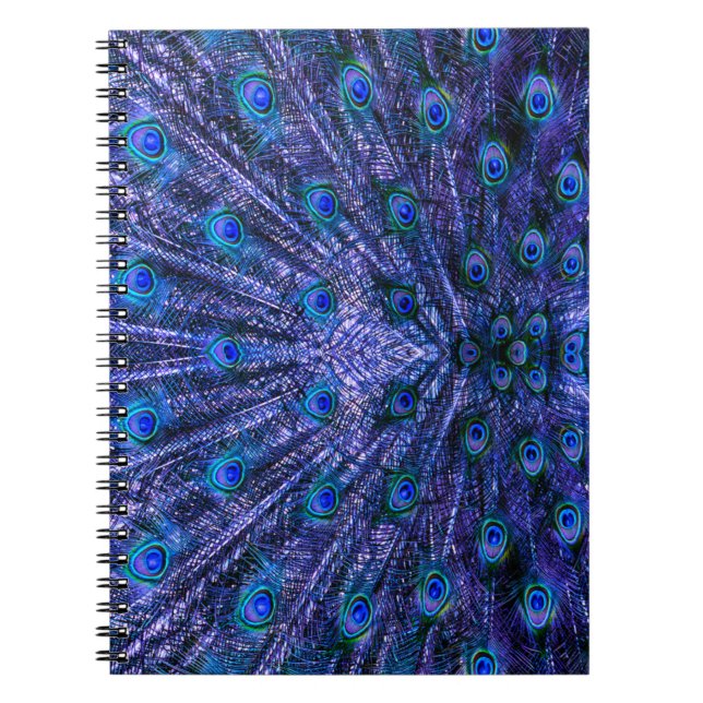 Carnet Plumes de paon violet (Devant)