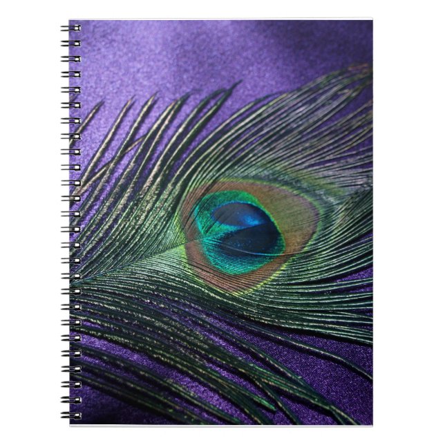 Carnet Plumes de paon violet soyeux (Devant)