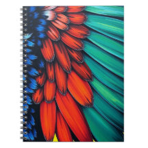 Plumes de perroquet colorées