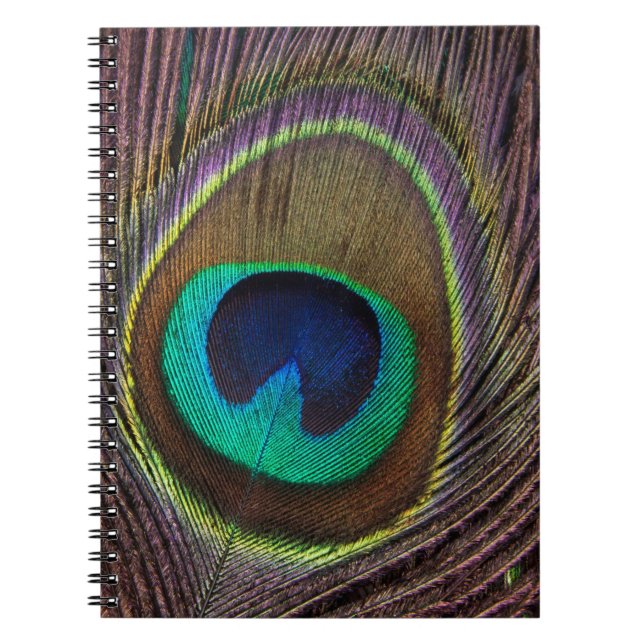 Carnet Plumes Peacock colorées Personnalisées (Devant)