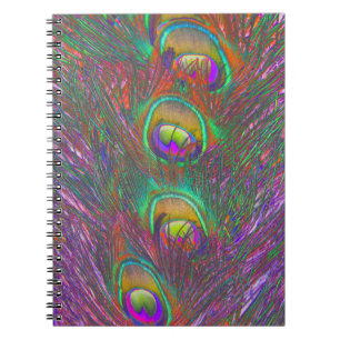 Carnet Plumes Peacock Tinsel de Noël