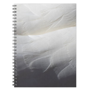 Carnet Plumes plumage de cygne blanc