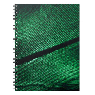 Carnet Plumes Vertes, Belle Texture Motif.
