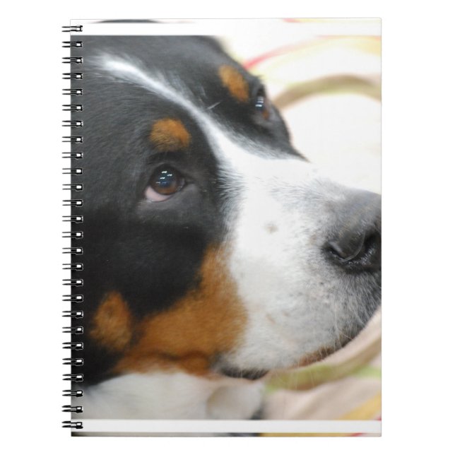 Carnet Plus grand chien suisse doux de montagne (Devant)