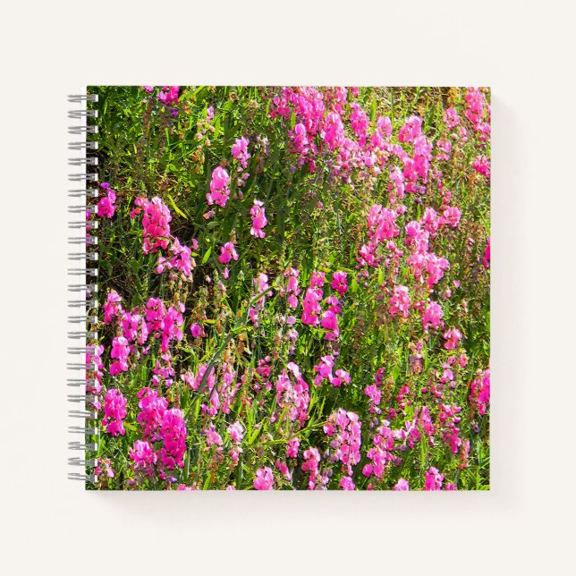 Carnet Pois de senteur sur la colline.... (Devant)