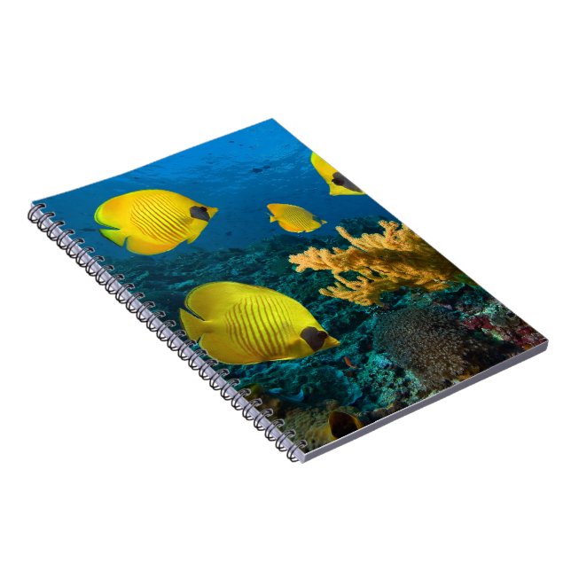 Carnet Poisson carnet-tropical (Côté Droit)