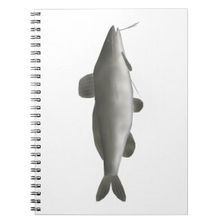Carnet Poisson-chat d'Amérique du Sud