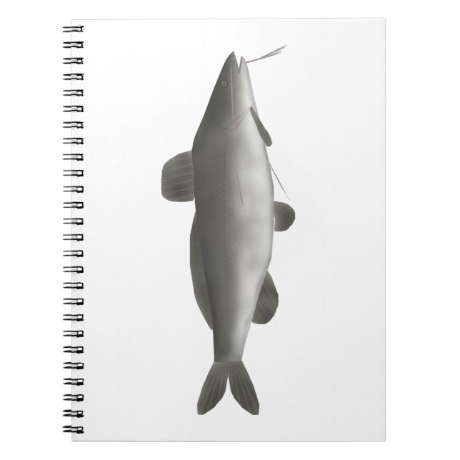 Carnet Poisson-chat d'Amérique du Sud (Devant)