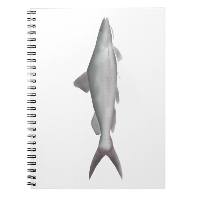 Carnet Poisson-chat géant (Devant)